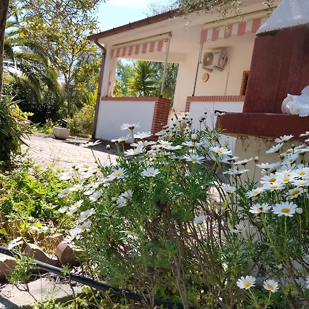 Soleil Vieste