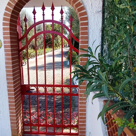 Soleil Vieste