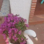 Soleil * Vieste