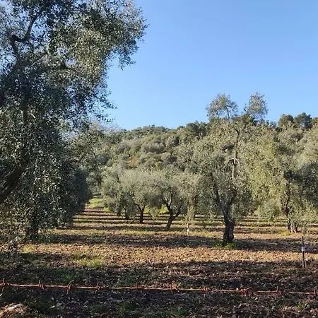 Soleil Apartamento *